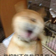 Kevin