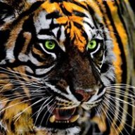 Samrat