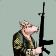 Cyberwarpig