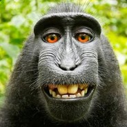 BadMonkey